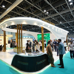 direct indiviual ownership